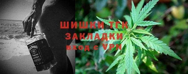 гидра Костерёво